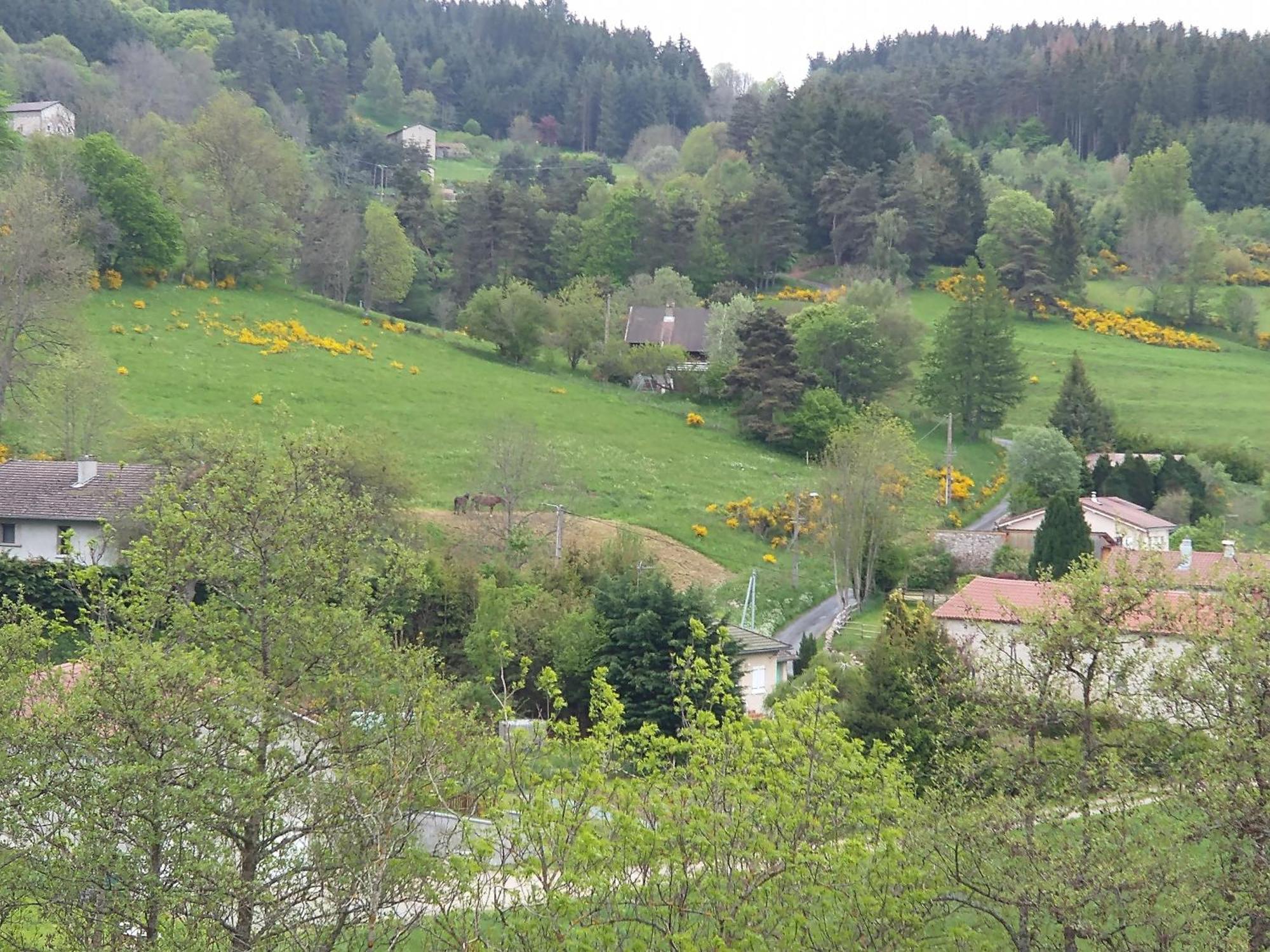 Le Val Danse - Maison De Caractere De 1870 - Renovee En 2020 Hébergement de vacances Saint-Anthème